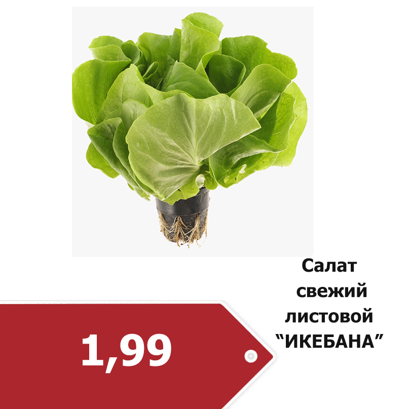 салат икебана 1-99.jpg