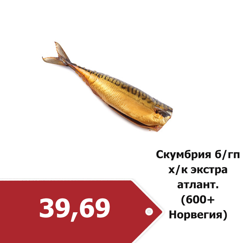скумбрия хк.jpg
