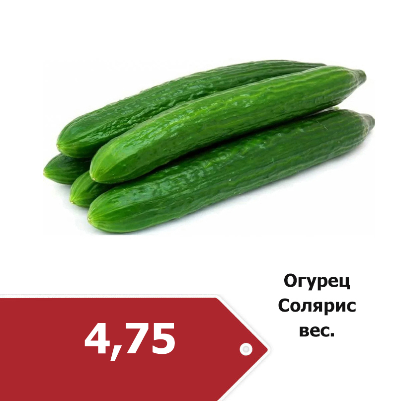 Огурец Солярис 4-75.jpg