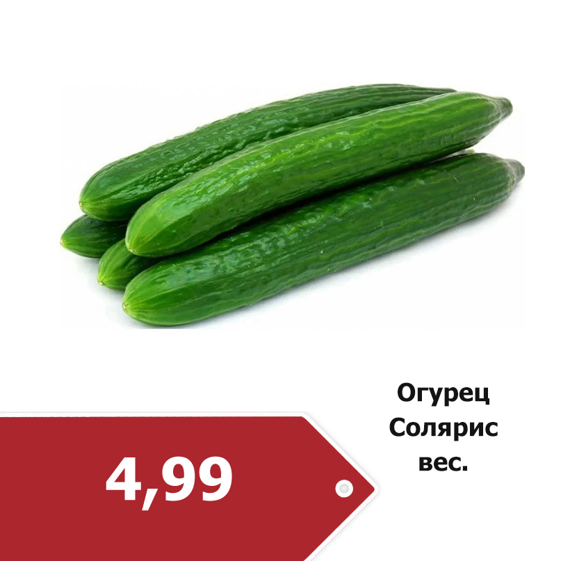 Огурец Солярис 4-99.jpg