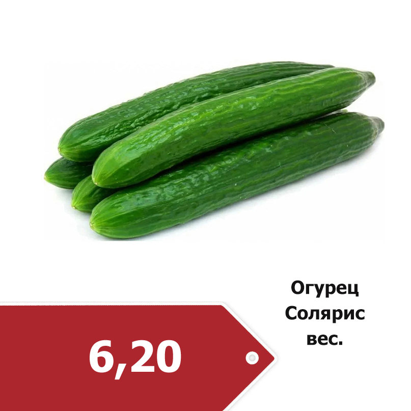 Огурец Солярис 6-20.jpg