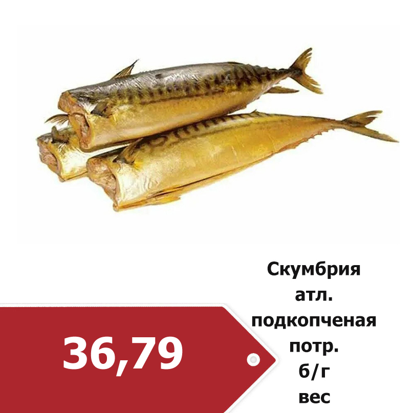 fc184ba14f682fde7f4fec9e3607d212.jpg