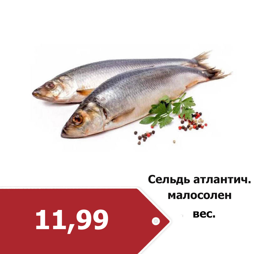 e87d3ab5af008d0427454c4c620d0638.jpg